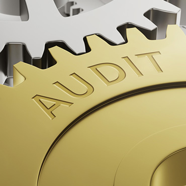 Audit